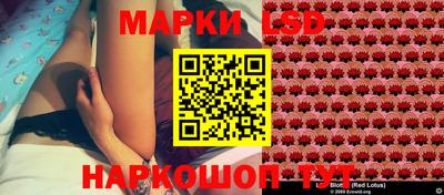 гидра Кузнецк