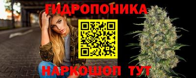 гидра Кузнецк